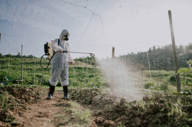 Best Best Pest Control Companies  in Sturgeon, MO